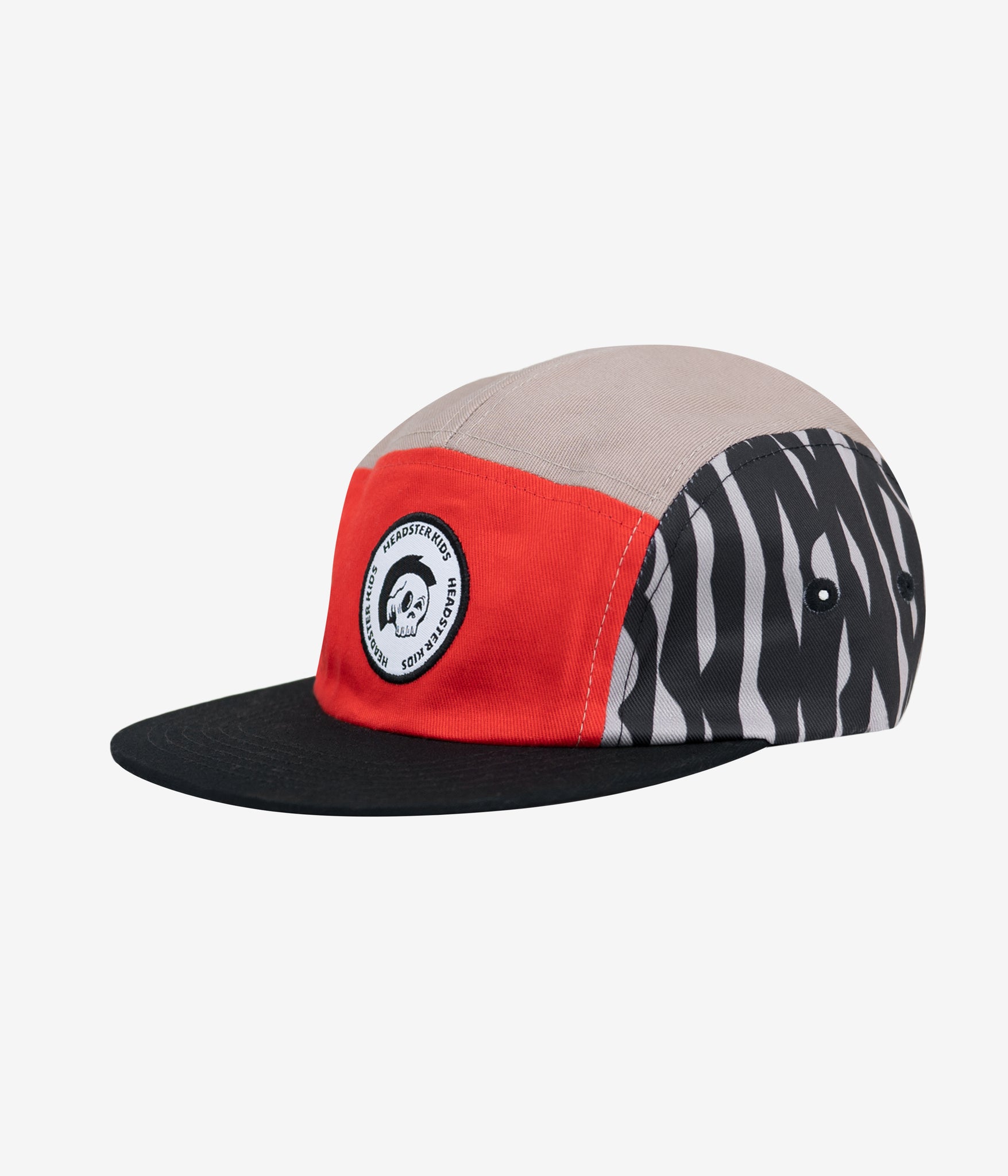 In Disguise Five Panel
