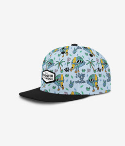 Earth's Friend Snapback