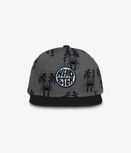Endless Summer Snapback