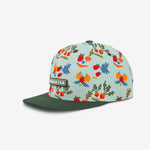 Farmer's Market Snapback - Sage Blue cap for babies and kids by Headster Kids